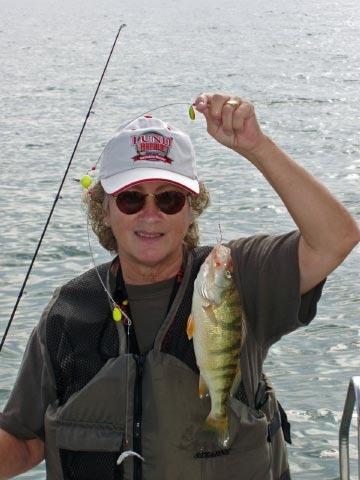 Lake Erie Yellow Perch